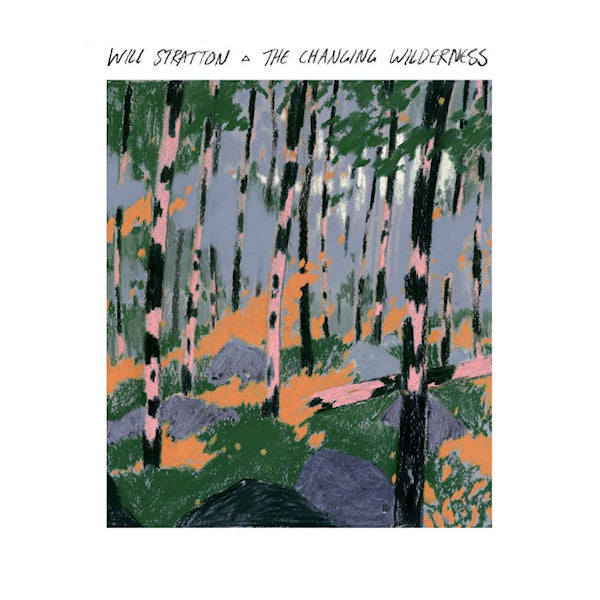 Will Stratton - Changing wilderness (LP) - Velvet Music