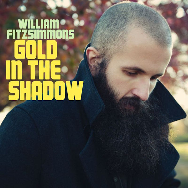 William Fitzsimmons - Gold in the shadow (LP) - Velvet Music