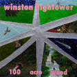 Winston Hightower - 100 acre wood (LP) - Velvet Music