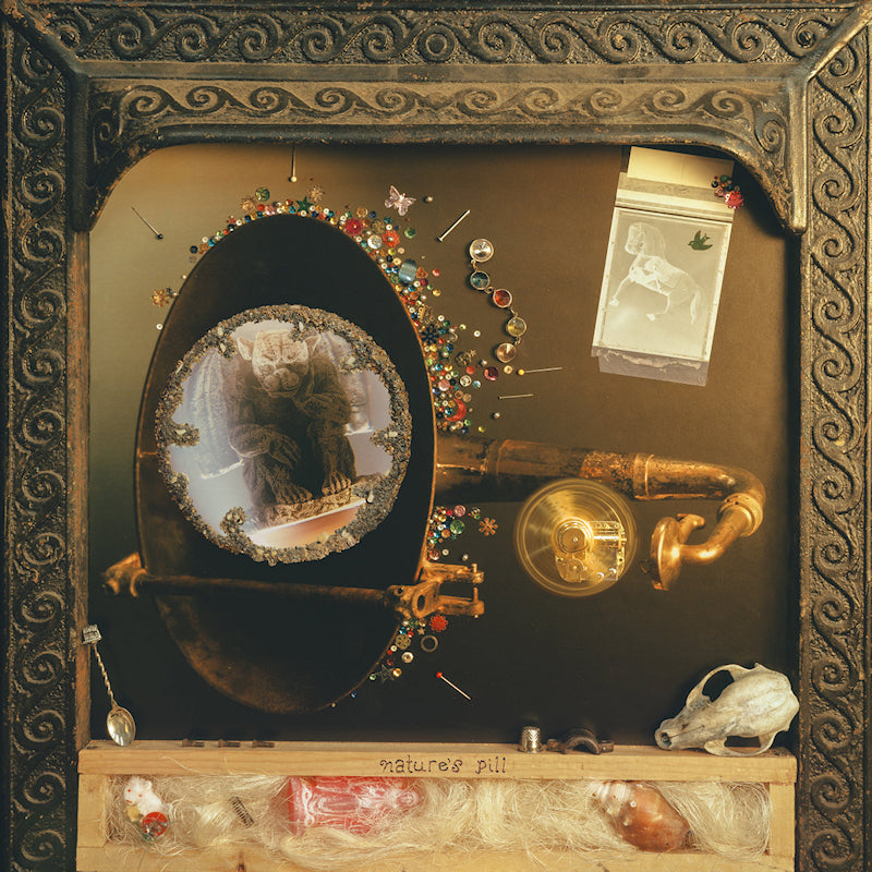Wishy - Nature's pill (LP)