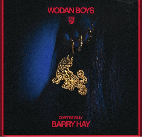 Wodan Boys & Barry Hay - 7-don't be silly (12-inch maxi-single) - Velvet Music
