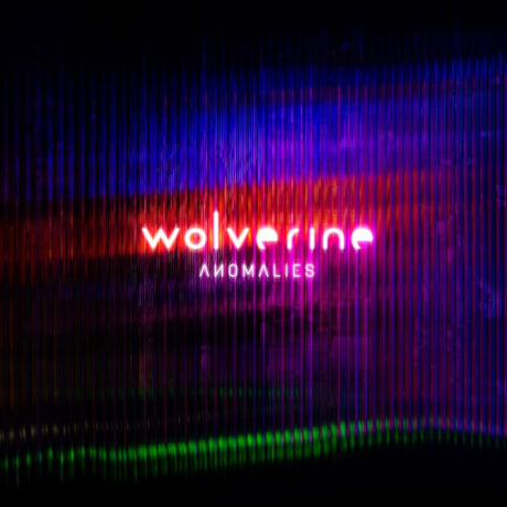 Wolverine - Anomalies (CD) - Velvet Music
