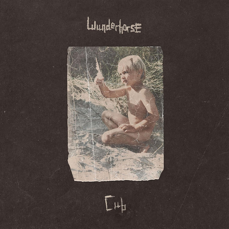 Wunderhorse - Cub (LP) - Velvet Music