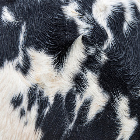 Blawan - Dismantled into juice (12-inch maxi-single) - Velvet Music