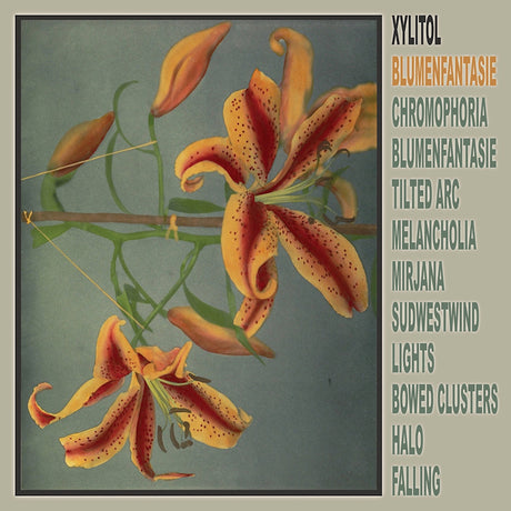 Xylitol - Blumenfantasie (LP) - Velvet Music