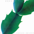Hiroshi Yoshimura - Green (LP) - Velvet Music