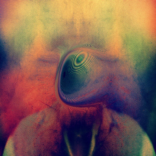 Young Magic - Melt (CD) - Velvet Music