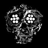 Young Widows - Decayed: ten years of cities, wounds (LP) - Velvet Music