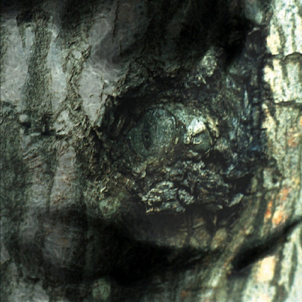 Yann Tiersen - La valse des monstres (LP)