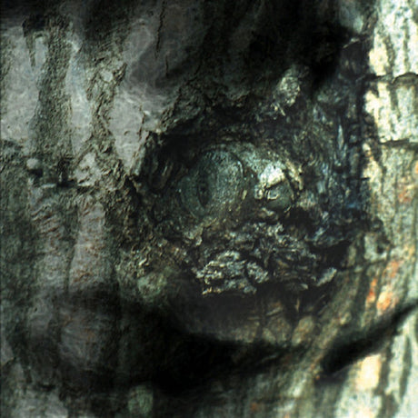 Yann Tiersen - La valse des monstres (LP)