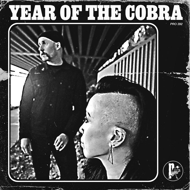 Year Of The Cobra - Year of the cobra (LP)