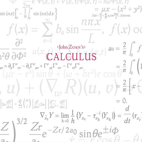 John Zorn - Calculus (CD) - Velvet Music