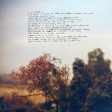 Watchhouse - Blindfaller (LP) - Velvet Music