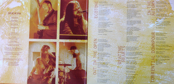 Beardfish - Songs For Beating Hearts (LP) - Velvet Music