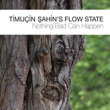 Timuçin Şahin's Flow State - Nothing Bad Can Happen (CD d'occasion)