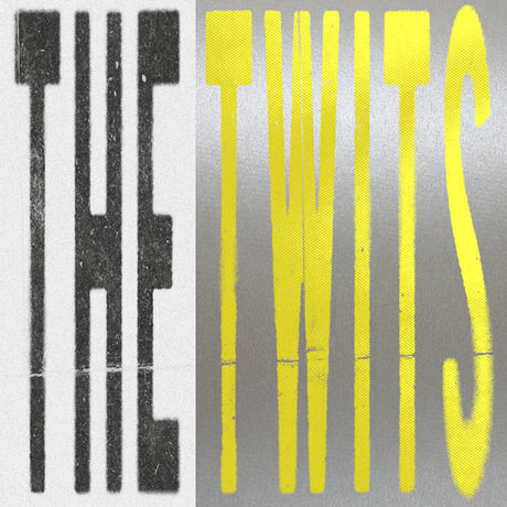 bar italia - Twits (LP)