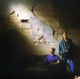 Pet Shop Boys - Actually (tweedehands LP) - Velvet Music