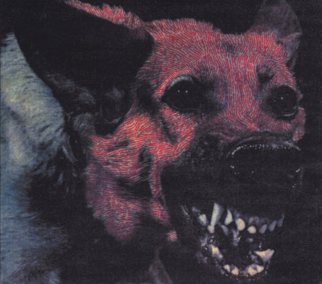 Protomartyr (2) - Under Color Of Official Right (tweedehands CD) - Velvet Music