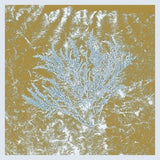 Huerco S. - For those of you who have never (and also those who have) (2025 repress) (LP)