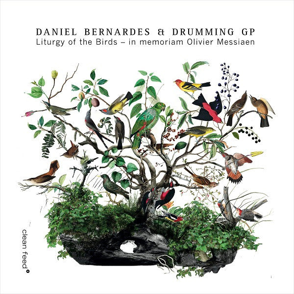 Daniel Bernardes Et Drumming - Liturgy Of The Birds – In Memoriam Olivier Messiaen (tweedehands CD) - Velvet Music