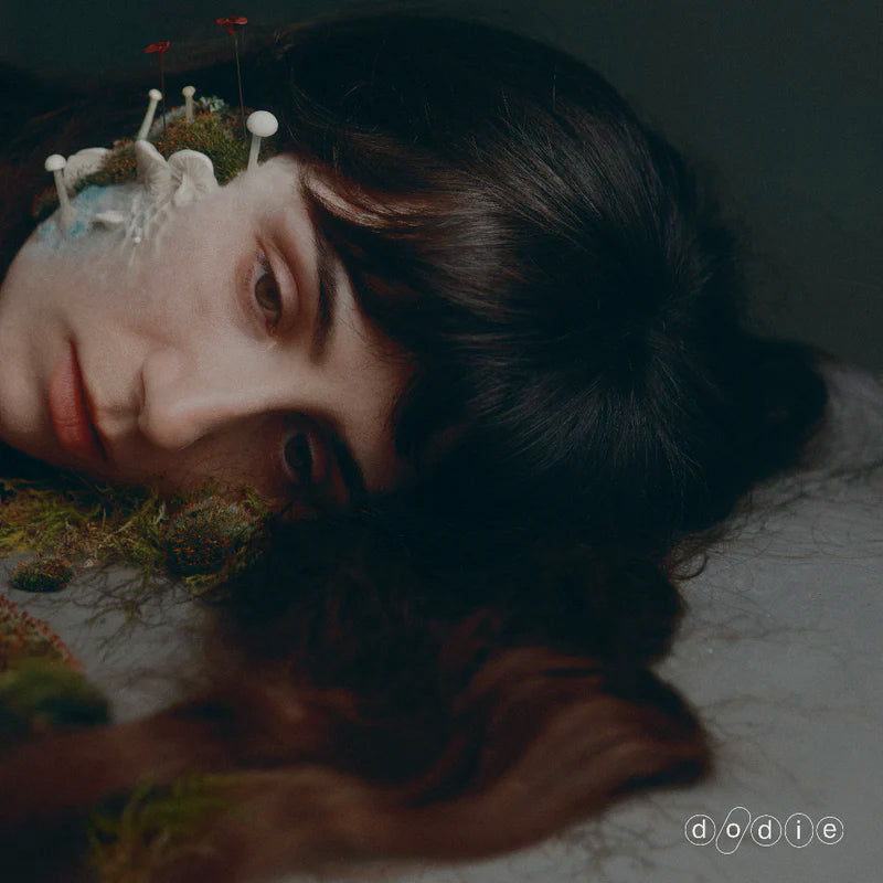 Dodie - Not for lack of trying (LP) - Velvet Music