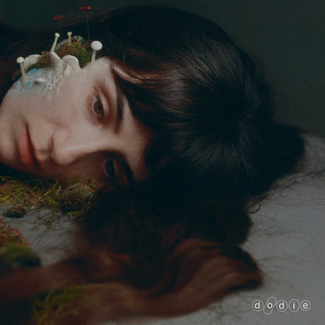 Dodie - Not for lack of trying (LP) - Velvet Music