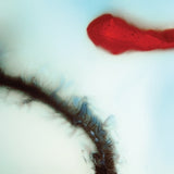 Stubborn Heart - Stubborn heart (CD)