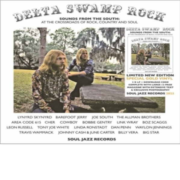 V/A (Various Artists) - Delta swamp rock - sounds of the south: at the crossroads of rock, country & soul (LP)