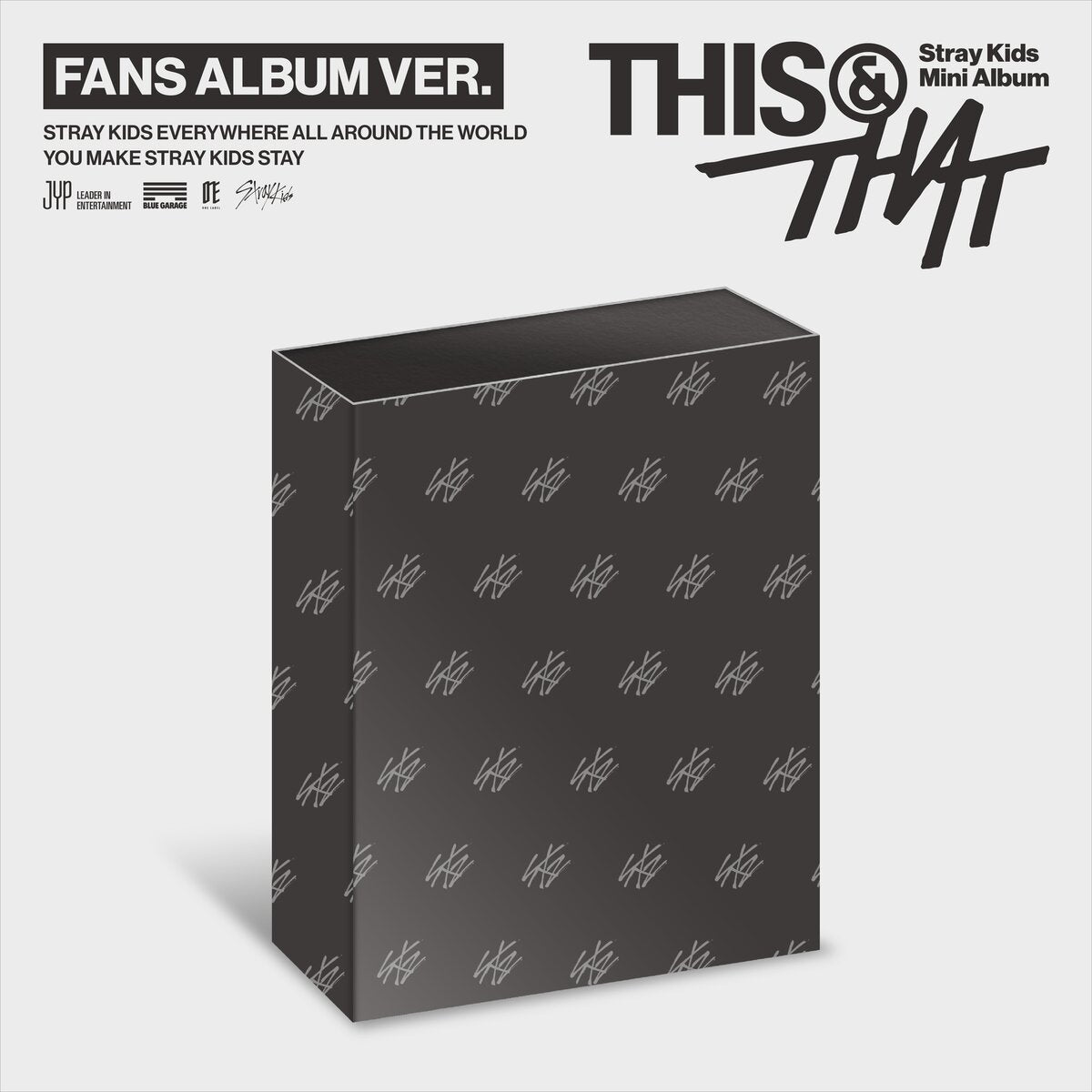 Stray Kids - This & that (accessoires)