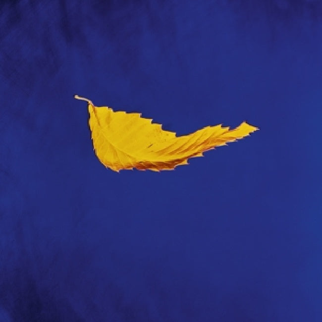 New Order - True faith (12-inch maxi-single)
