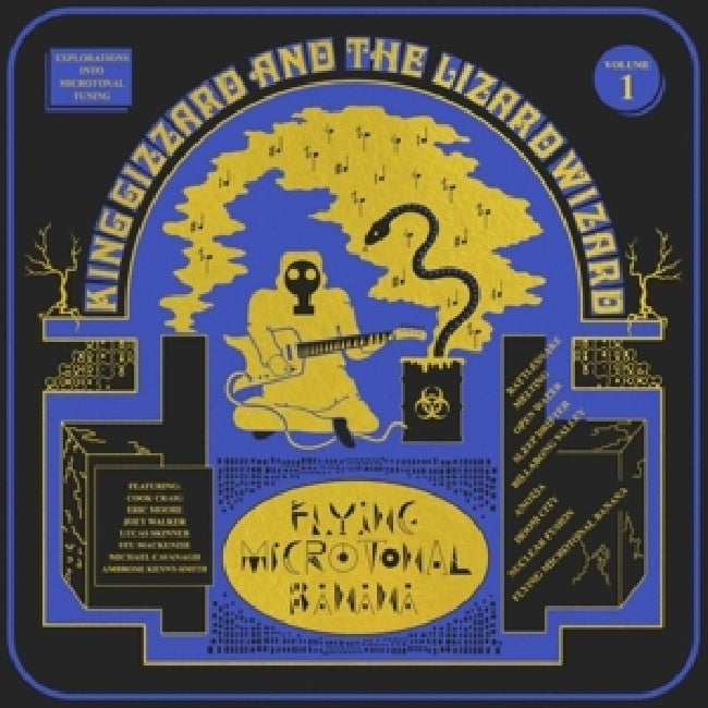 King Gizzard & The Lizard Wizard - Flying microtonal banana (LP) - Velvet Music