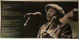 Muddy Waters - Mannish Boy - Best Of Muddy Waters (LP) - Velvet Music