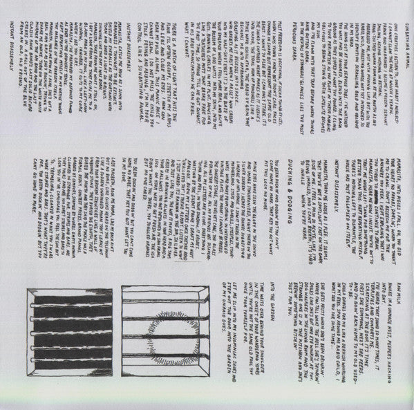 Parquet Courts - Sunbathing Animal (tweedehands CD) - Velvet Music