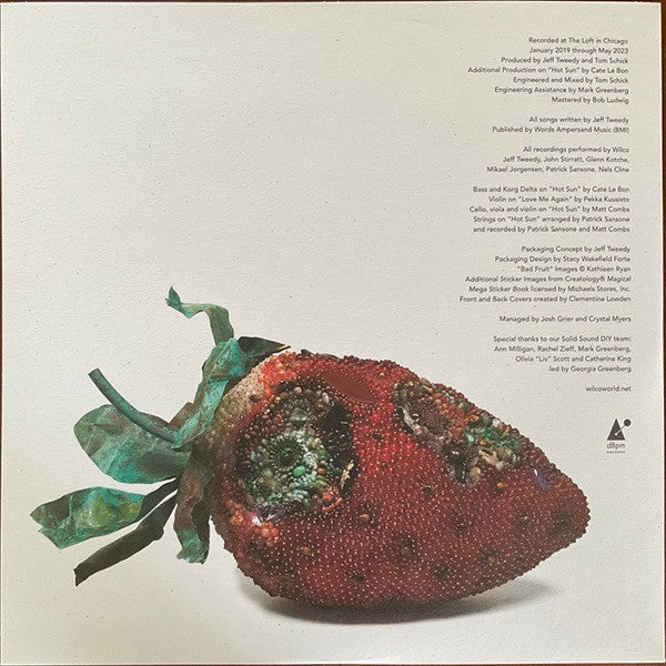 Wilco - Hot Sun Cool Shroud (LP) - Velvet Music
