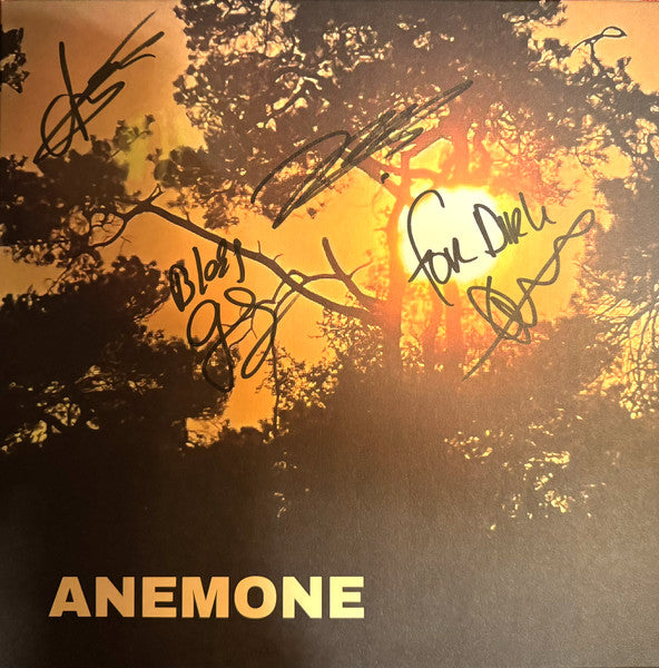 Anemone (13) - Freebird (LP) - Velvet Music