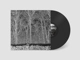 Pile - Sunshine and balance beams (LP)