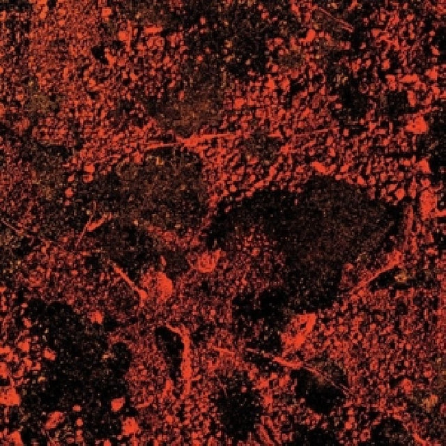 King Gizzard & The Lizard Wizard - Murder of the universe (LP) - Velvet Music