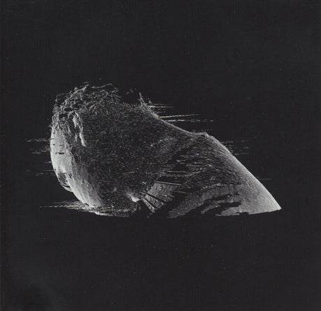 Coldplay - The Scientist (tweedehands CD) - Velvet Music
