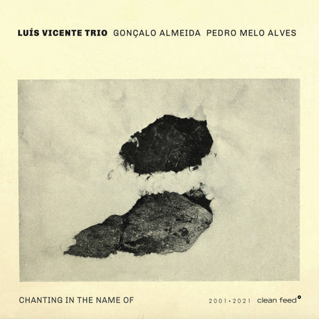 Luís Vicente Trio, Gonçalo Almeida, Pedro Melo Alves - Chanting In The Name Of (CD d'occasion)