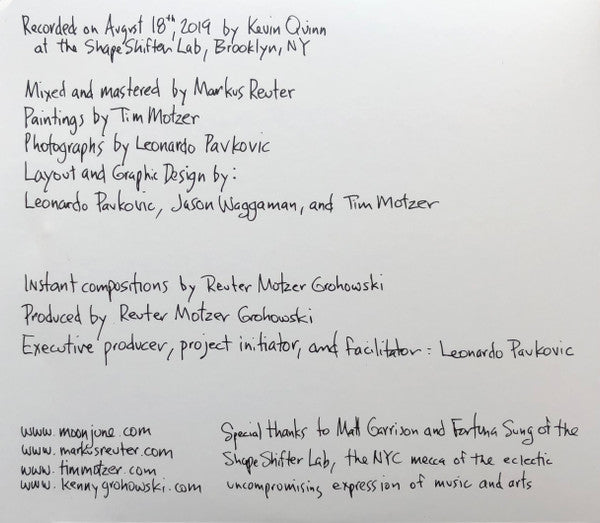 Markus Reuter, Tim Motzer, Kenny Grohowski - Shapeshifters (tweedehands CD)