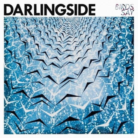 Darlingside - Birds say (CD)