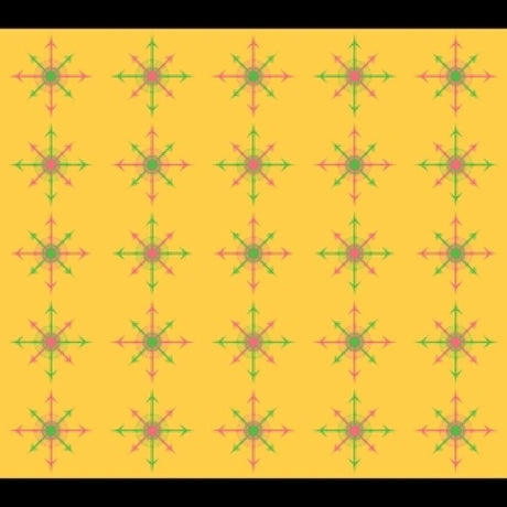 John Zorn - Multiplicities: a repository of non-existent objects (CD)