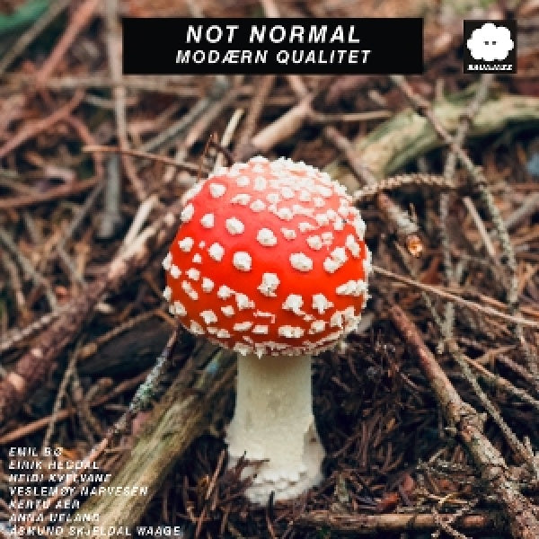 Not Normal - Modaern qualitet (LP)