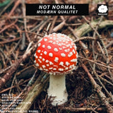 Not Normal - Modaern qualitet (LP)