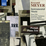K. Meyer - Instrumental music (CD)