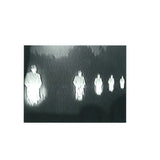 Nina Kraviz - Mr Jones (12-inch maxi-single) - Velvet Music