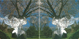 Jamiroquai - Synkronized (tweedehands CD) - Velvet Music