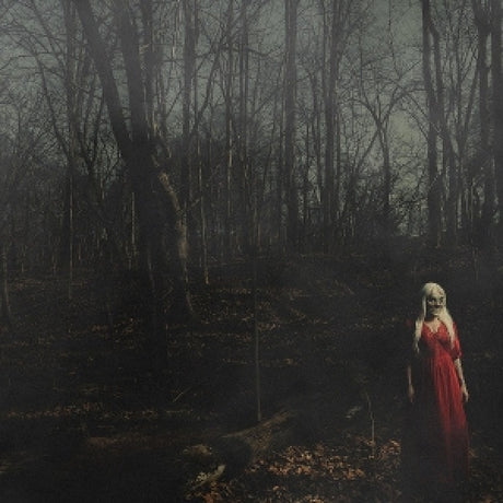 156 /silence - From a distance (LP)