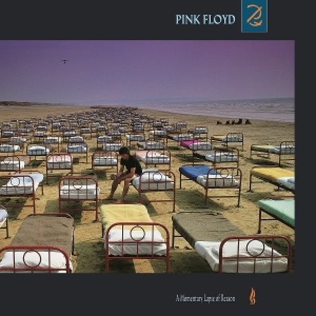 Pink Floyd - Momentary lapse of reason (LP)