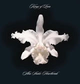Kings Of Leon - Aha shake heartbreak (LP)